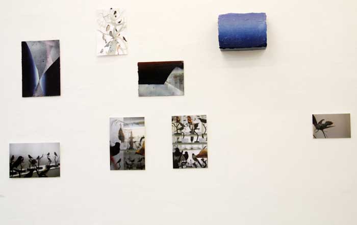 Theissen, Anna-Lisa, Installationsansicht, verschiedene Arbeiten, 2012